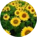 Geeta Ahuja Geeta Ahuja